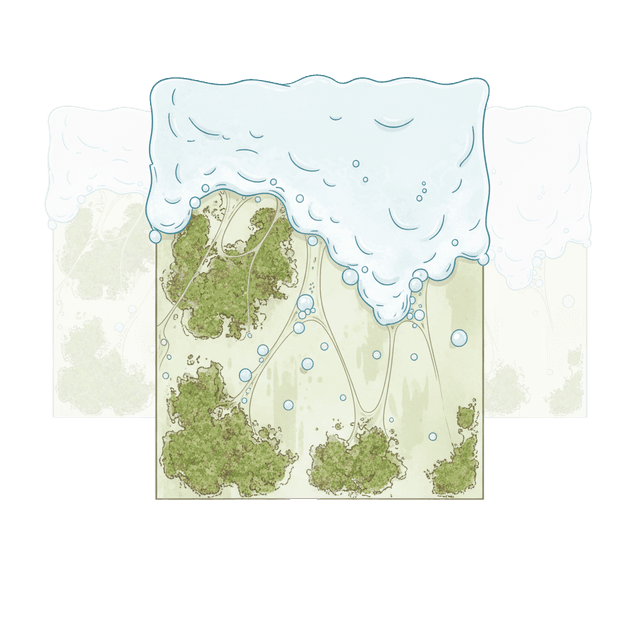 Natürliche Reinigung